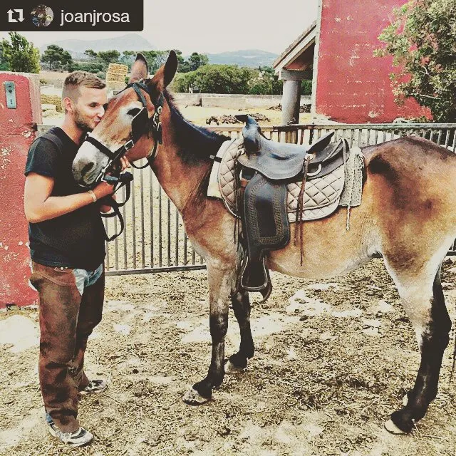 Rancho Grande