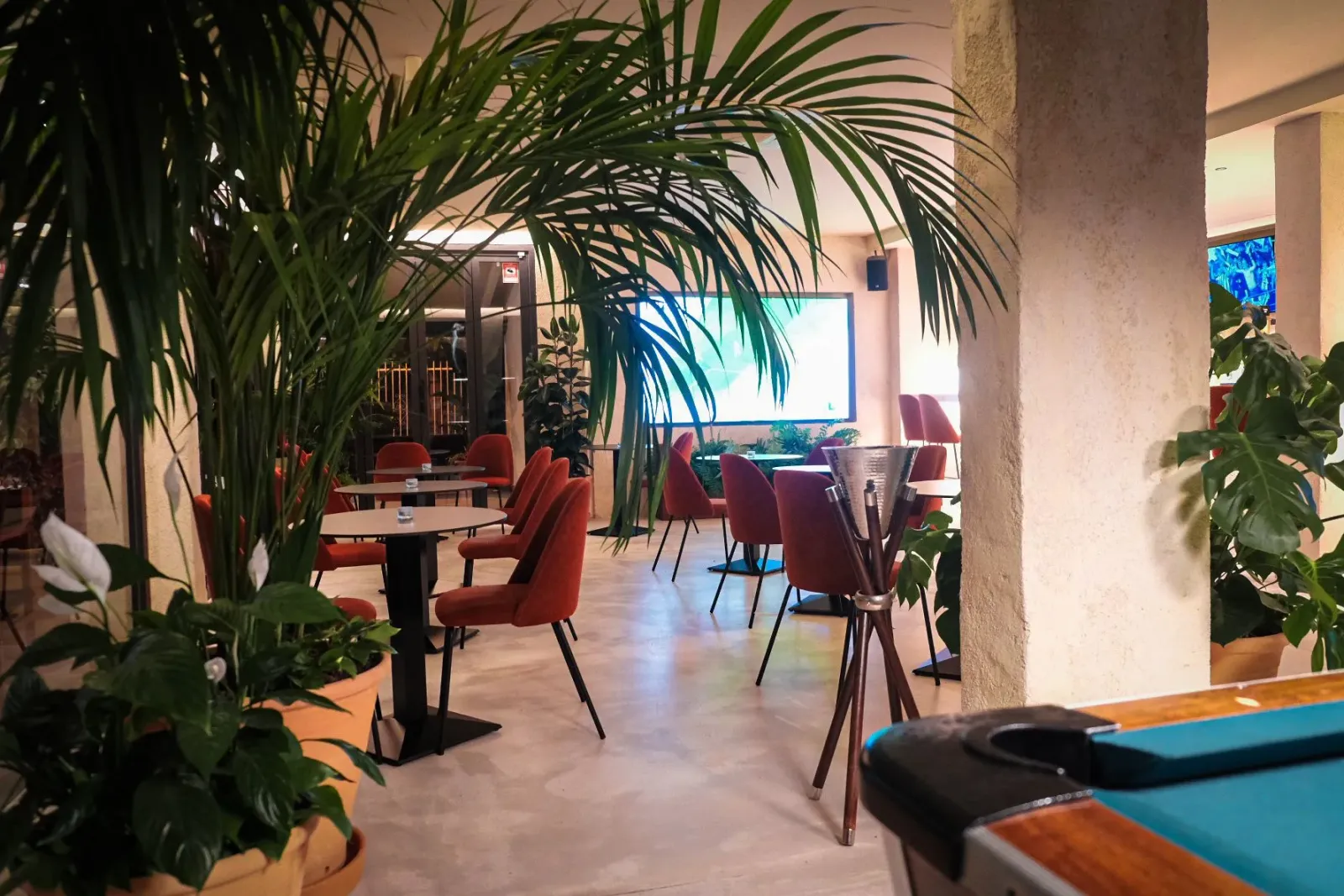 Miami Club