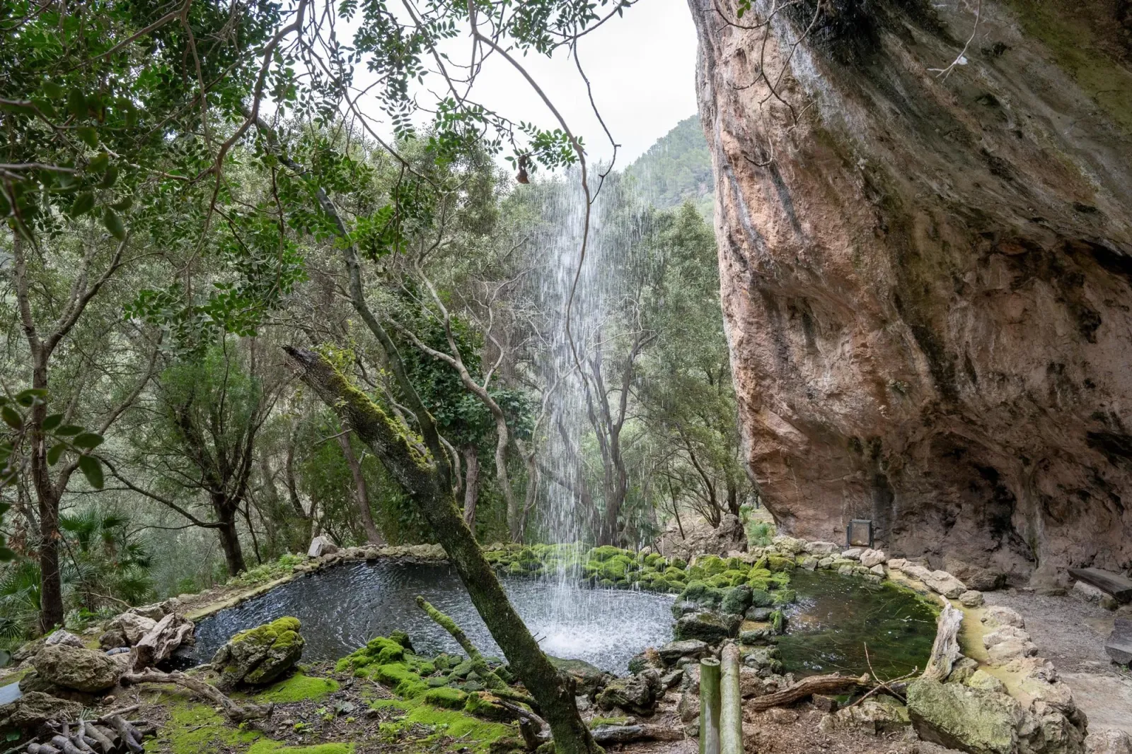 La Reserva Puig de Galatzó Nature Park
