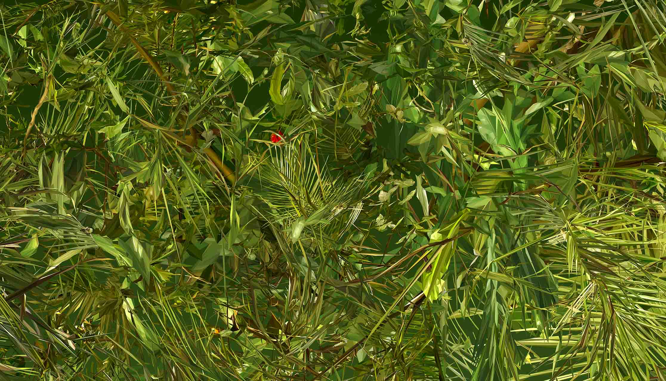 Albano Afonso: A Natureza (Biennal B)