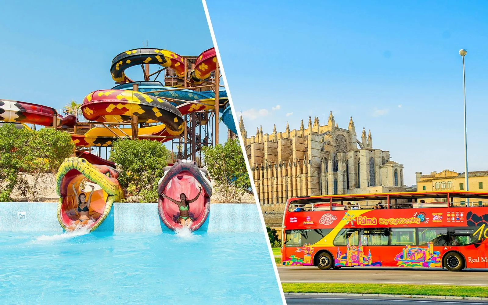 Aqualand El Arenal & Palma Hop-on Hop-off Bus Combo