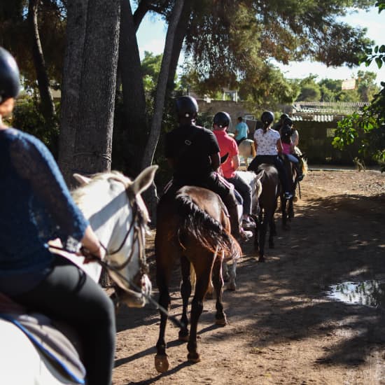 π Horseback Adventure in Alcudia β 1 Hour of Nature & Fun with Click Mallorca! πΏ