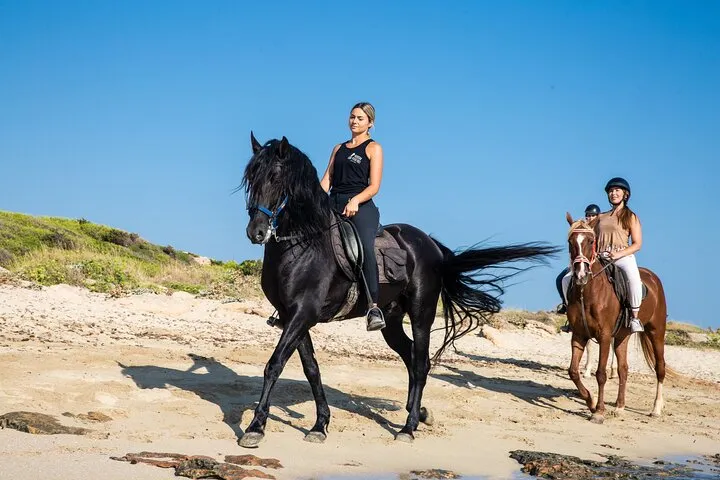 Beach Horse Riding in Alcudia Bay