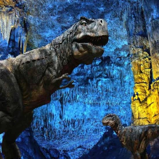 Dinosaurland & Coves dels Hams — Combined Ticket