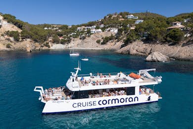 Dolphin Watching Cruise from Paguera