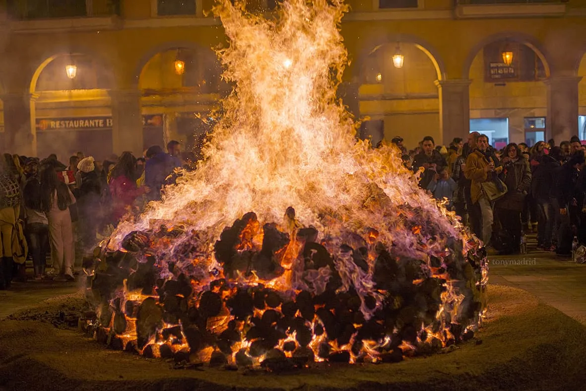Festes de Sant Sebastià, Palma
