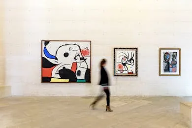 Fundació Miró Mallorca: Entry Ticket