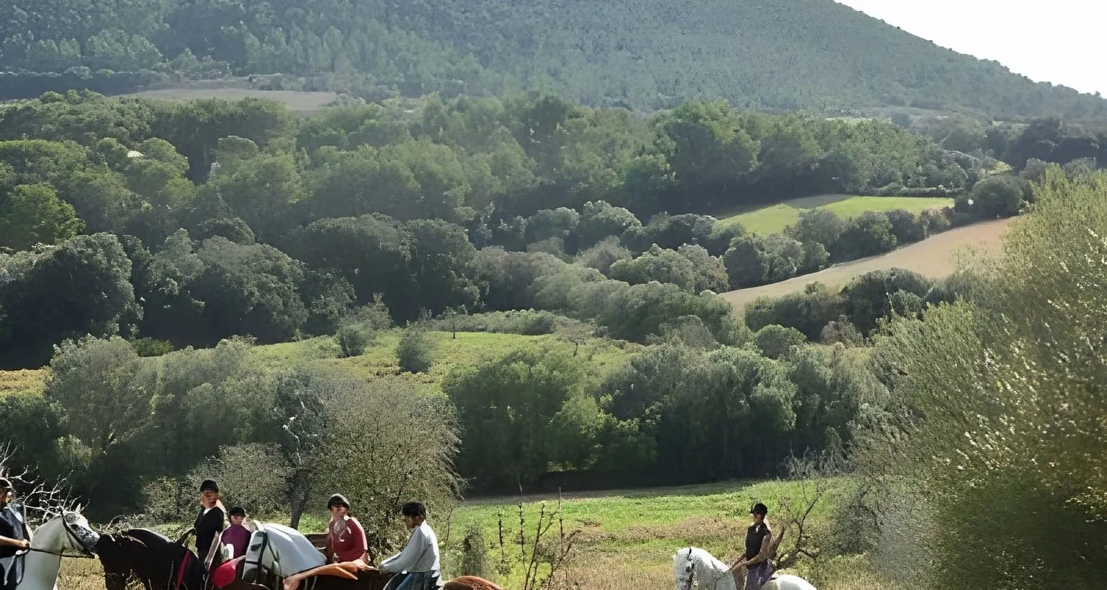 Horseback Riding in Randa Valleys, Mallorca