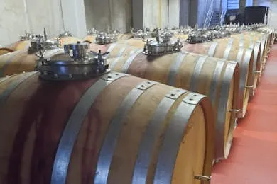 Mallorca Guided Winery Tour with Transfer and Tasting