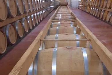 Mallorca Winery & Olive Mill Guided Tour with Tastings and Roundtrip Transfer