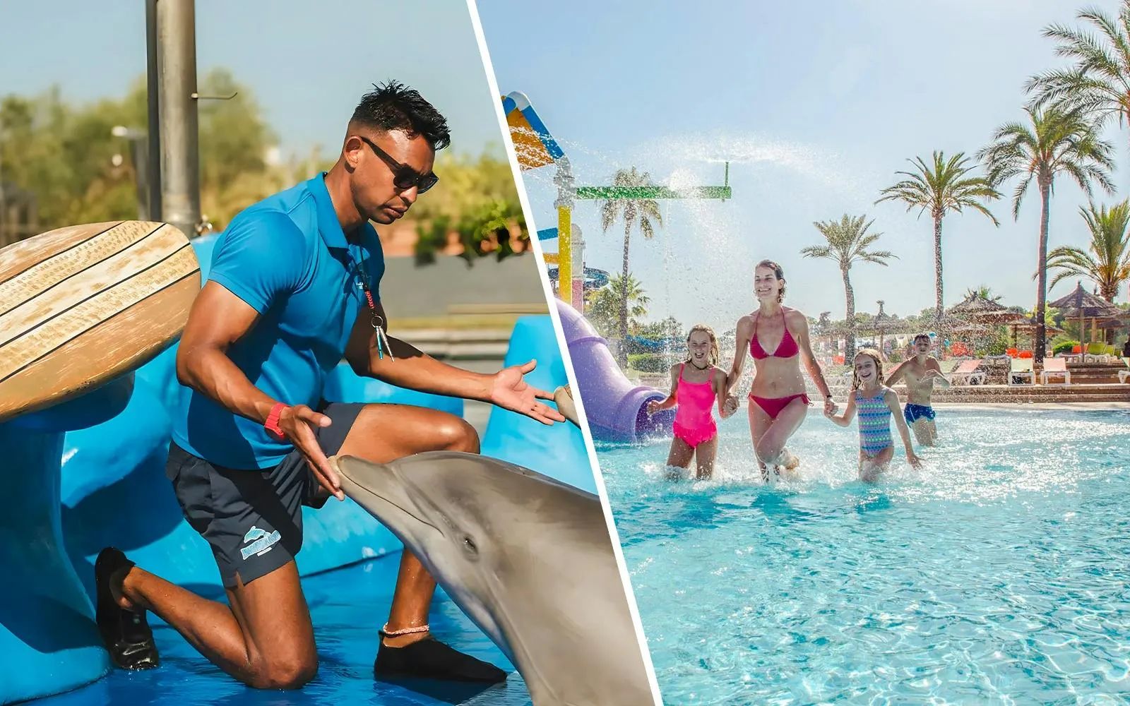 Marineland Mallorca + Aqualand El Arenal Combo Tickets