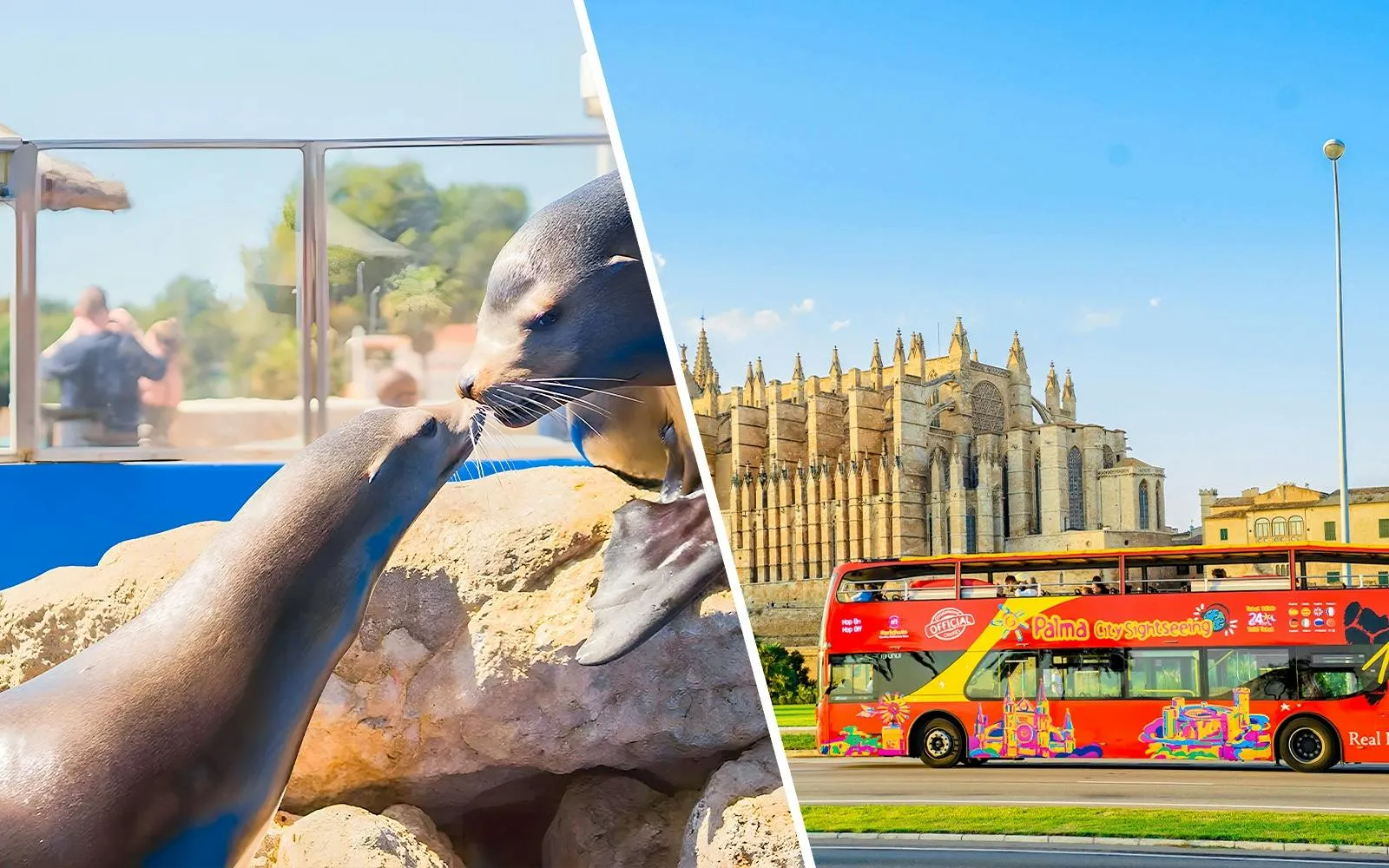 Marineland Mallorca Tickets + Palma Hop-on Hop-off Bus Tour