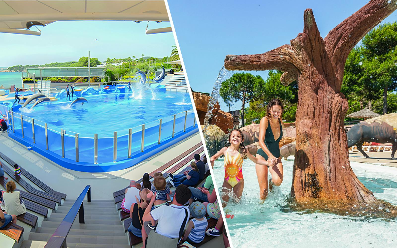 Marineland Mallorca + Western Water Park Combo