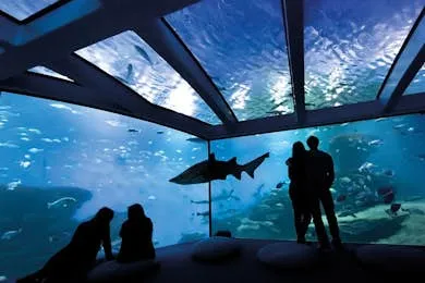 Palma Aquarium: Admission Ticket + Transfer from East Zone
