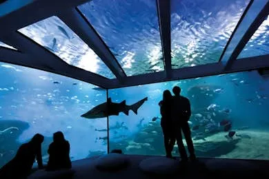 Palma Aquarium: Entry Ticket + Transfer from Cala Ratjada