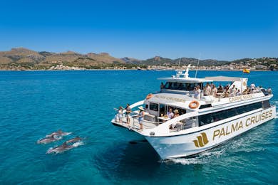 Palma de Mallorca Dolphin Watching Boat Excursion with Swim & Snorkelling
