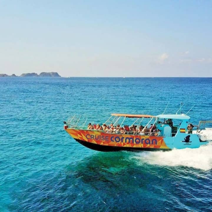 Santa Ponça Boat Trip: Caves, Coves & Snorkel