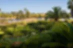 Visit Botanicactus Botanical Garden