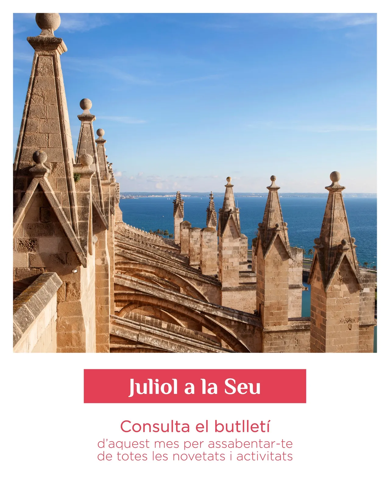 Visit Palma Cathedral (La Seu) & Terraces